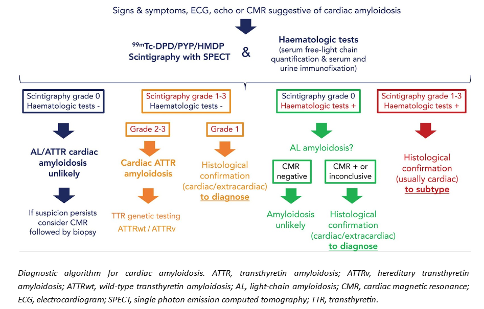 Kasuistik Amedeo November 5.png